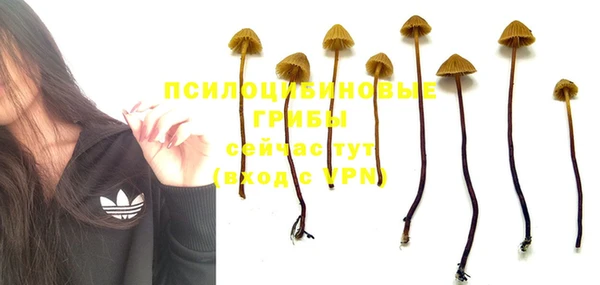 стаф Лихославль