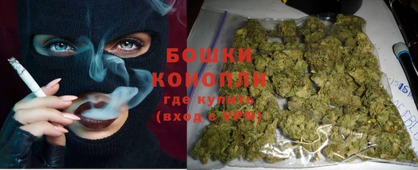 индика Магадан