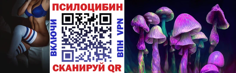 Купить где  Бавлы  Галлюциногенные грибы мухоморы 